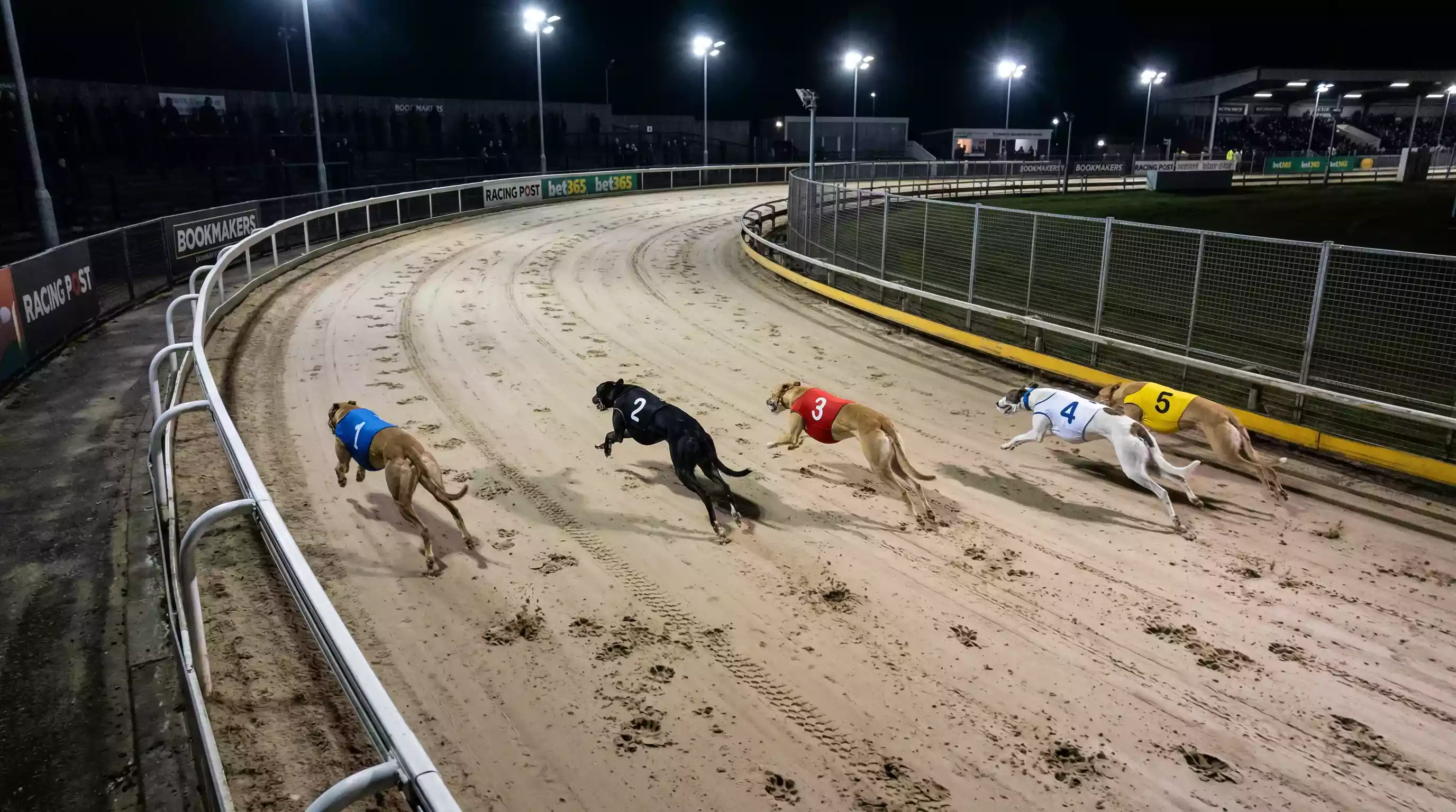 Inside and wide running styles in greyhound racing explained