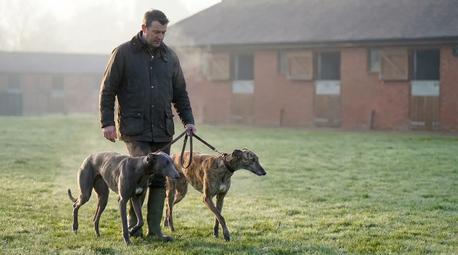 Kennel form runs and trainer switches in greyhound racing
