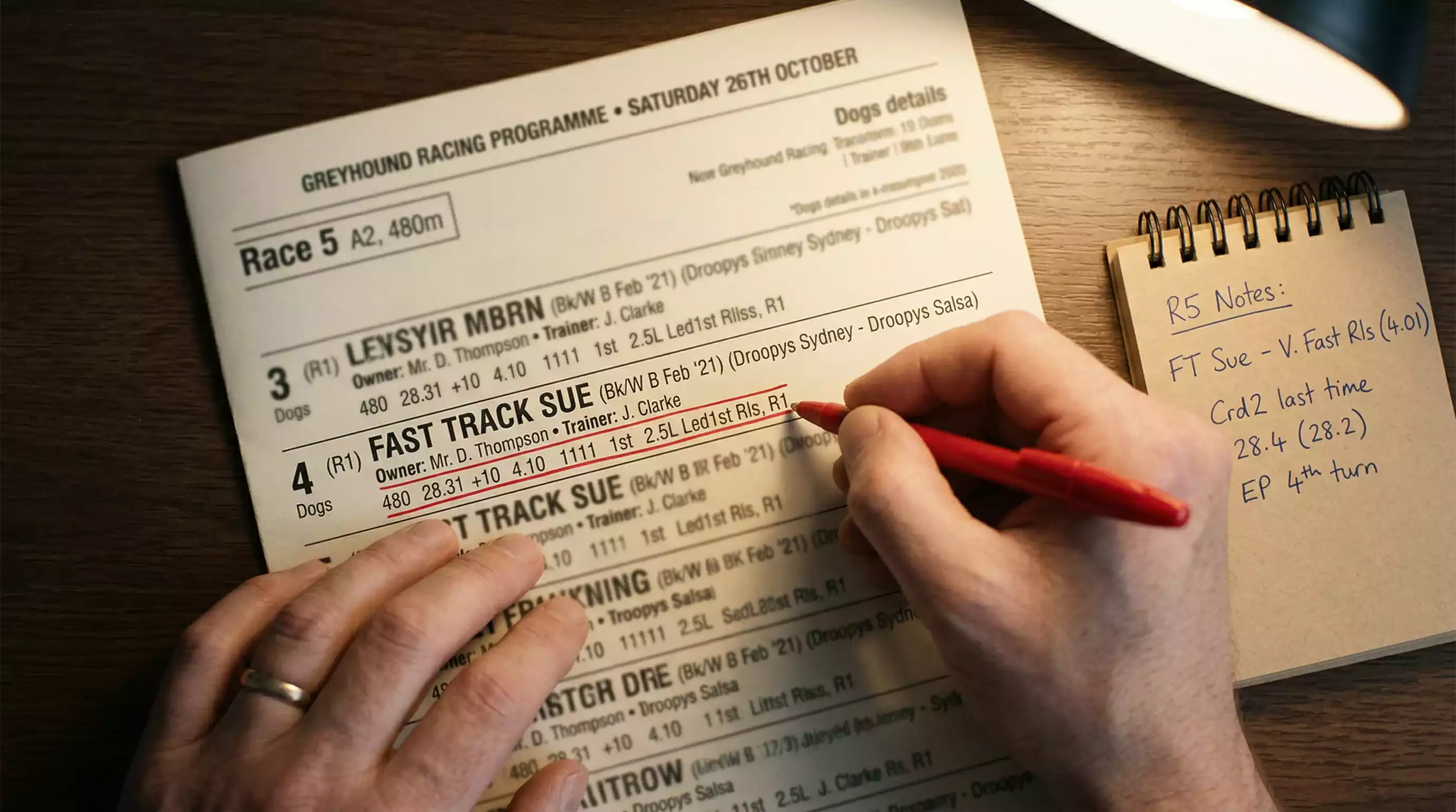 Close-up of a hand marking greyhound form notes on a printed Kinsley racecard